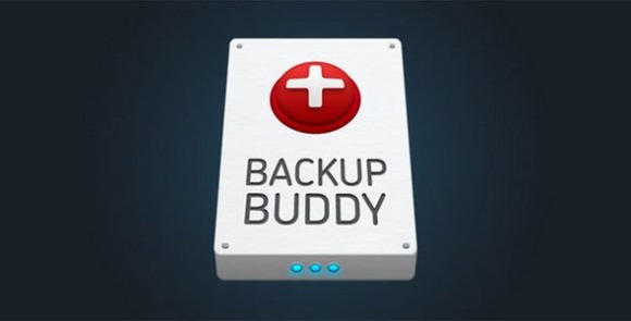 BackupBuddy Backup Restore and Move WordPress Plugin