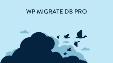 WP Migrate DB Pro Nulled WordPress Plugin