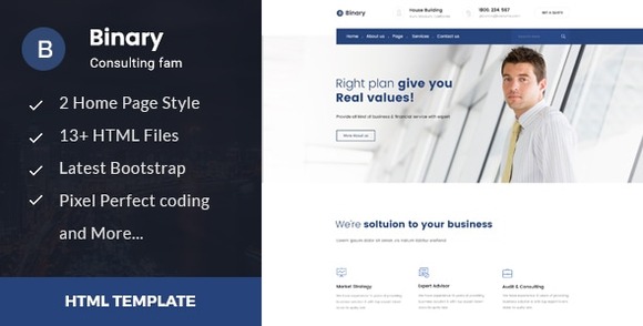 Binary Business Consulting and Professional Services HTML Template