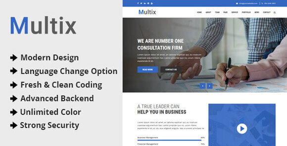 Mulzix Multipurpose Business and Agency CMS Script